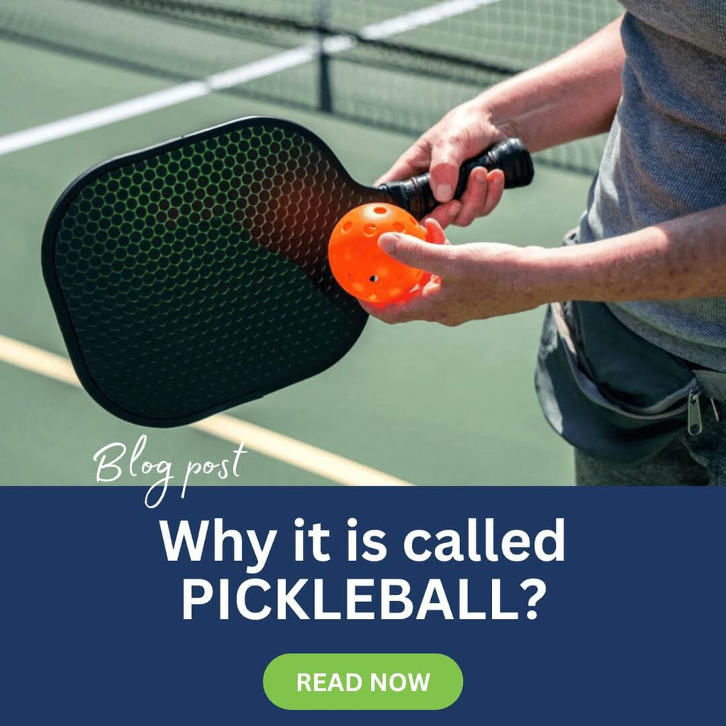 Why It Is Called Pickleball?